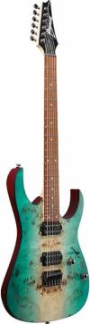 Buy Ibanez RG421PB guitars Online in India at Lowest Price | VPLAK