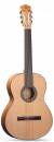 Alhambra 2F Flamenco Classical Guitar With Bag color image