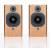 ATC SCM19 - Audiophile Bookshelf Speaker (Pair) color image