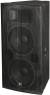 Beta3 ?S2153 Dual 15 inch Two Way Full Range Speaker color image