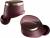 Bowers & Wilkins Pi8 Premium Wireless Earbuds color image
