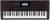 Casio CT-X8000IN Indian Keyboard color image