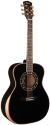 Cort Seven Stars Limited Edition Electro-Acoustic Guitar color image