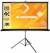 ELCOR Tripod/Portable Indoor-Outdoor Projection Screen color image