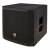 Electro Voice Elx200-12sp 12 Inch Powered Subwoofer color image