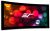 Elite Screens CURVE200WH1 Lunette Series - 200 Inches CineWhite Curve Fixed Frame Projection Screen color image