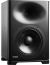 Genelec S360 SAM Studio Monitor color image