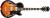 Ibanez AG75G Hollow body Electric Guitar color image