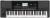 Korg PA-300 Professional Arranger Keyboard color image