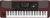 Korg Pa1000 Professional Arranger Keyboard color image