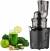 Kuvings REVO830 Revolutionary Whole Slow Juicer color image