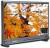 Lilliput BM310-4KS 31.5 inch 4K HDMI Carry-On Broadcast Monitor color image