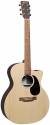 Martin Gpc-x2e Rosewood Acoustic-electric Guitar 11gpcx2e-02 - Natural color image