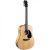 Martin D-12E Koa Electro-Acoustic Guitar color image