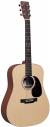 Martin D-X1E 04 Acoustic-Electric Guitar color image