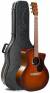 Martin GPCE Inception Maple Acoustic-Electric Guitar color image