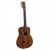 Martin LXK2 Little Martin Acoustic Guitar color image