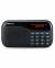 Portronics Por-141 Portable Speaker With Fm & Microsd Card color image