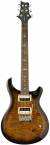 PRS SE Custom 24 6-Strings Electric Guitar color image