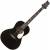 PRS SE P20E Tonare Parlor Electro Acoustic Guitar color image