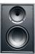 Pure-Acoustics RIFT F12 12 inch FULL-RANGE IN-WALL SURROUND SPEAKER color image