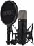 Rode Nt1 5Th Generation Large-Diaphragm Studio Condenser Microphone  color image