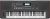 Roland E-X50 61-Keys Arranger Keyboard color image