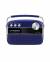 Saregama Carvaan Premium Portable Digital Music Player color image