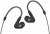Sennheiser Ie 300 In-year High-race Audiophile Headphones color image