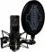 Sontronics STC-20 Large-Diaphragm Condenser Microphone color image