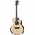 Taylor 914ce Indian Rosewood Grand Auditorium Electro-Acoustic Guitar  color image