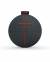 Ultimate Ear Roll 2 Wireless Speaker color image