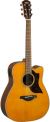 Yamaha A1R Acoustic Guitar color image