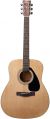 Yamaha F310P Acoustic Guitar  color image