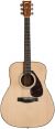 Yamaha F600 Acoustic Guitar color image