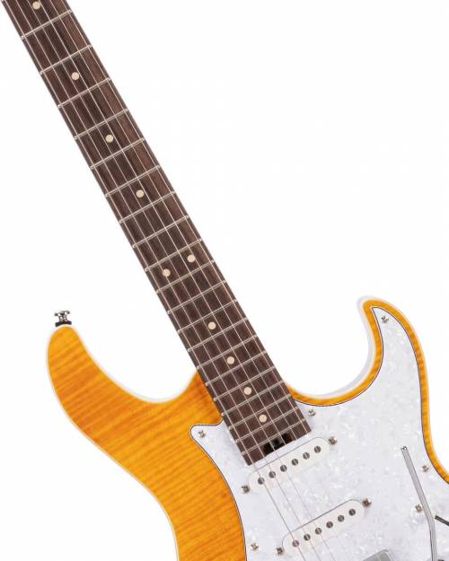 Buy Cort G280 guitars Online in India at Lowest Price | VPLAK