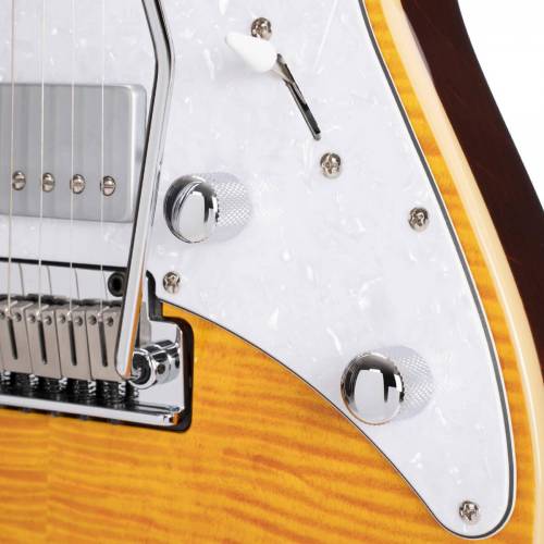 Buy Cort G280 guitars Online in India at Lowest Price | VPLAK