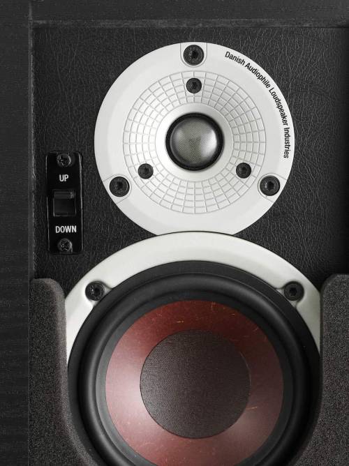 Buy DALI ALTECO C-1 center channel speaker Online in India at