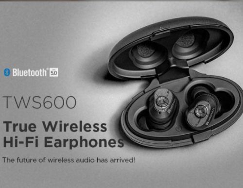 Buy Hifiman Tws600 True Wireless Hi-fi Earphones With Mic Online