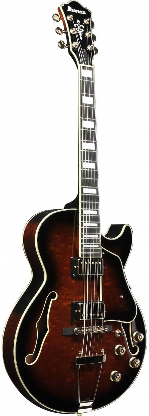 Buy Ibanez AG95QA guitars Online in India at Lowest Price | VPLAK