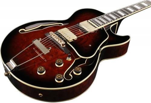 Buy Ibanez AG95QA guitars Online in India at Lowest Price | VPLAK