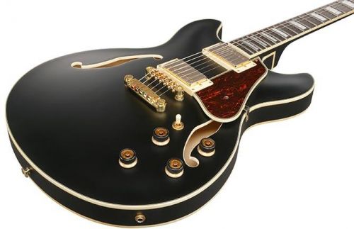 Buy Ibanez AS73G guitars Online in India at Lowest Price | VPLAK