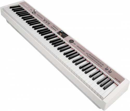 Buy nux NPK-20 pianos Online in India at Lowest Price | VPLAK