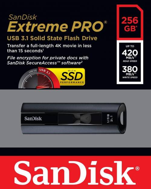 Buy SanDisk Extreme Pro USB 256GB Pendrive Online in India at