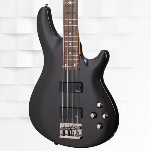 Buy Schecter C-4 SGR guitars Online in India at Lowest Price
