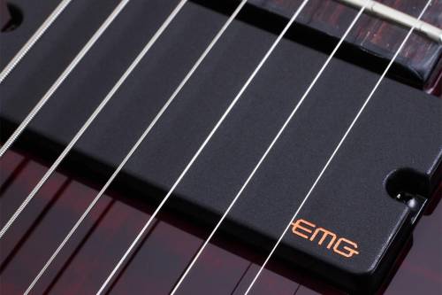 シェクター ヘルレイザー ギター EMG V ブラック ケース付き 9870
