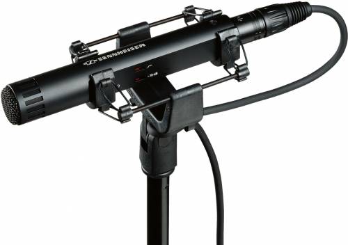 Buy Sennheiser MKH 40 P48 Cardioid RF Condenser Microphone Online