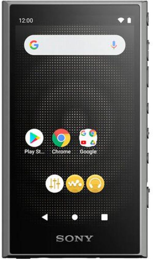 Buy Sony NW-A306 walkman Online in India at Lowest Price | VPLAK