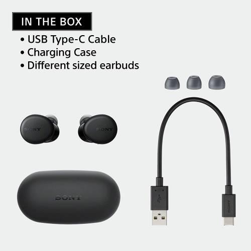 Buy Sony WF-XB700 Truly Extra Bass Earbuds Online In India At