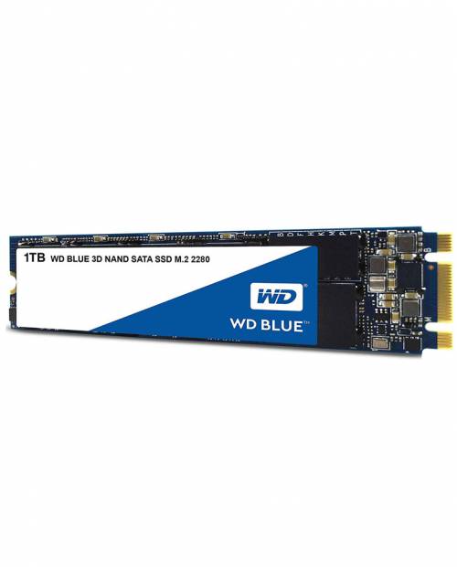 Buy Wd Blue 1tb M.2 Ssd (wds100t2b0b) Online In India At Lowest